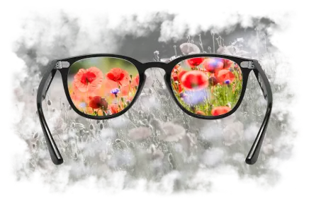 Color Blind Test Image